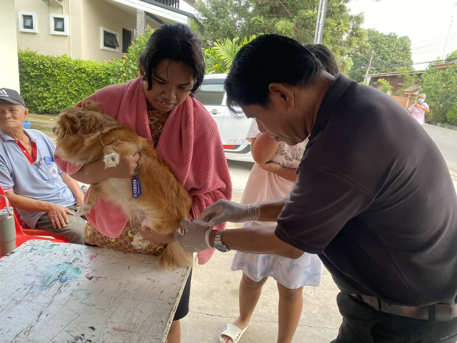 Mobirise Website Builder